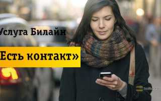 Билайн опция есть контакт это что